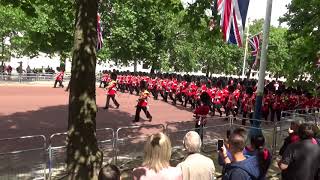 Massed bands of the Guards marching on the mall [upl. by Zoi834]