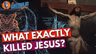 How Did Jesus Die The Science Of The Crucifixion  The Catholic Talk Show [upl. by Nivert]