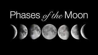 Phases and Motions of the Moon [upl. by Omik]