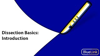 Dissection Basics  Introduction [upl. by Kwang]