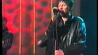 Shane MacGowan amp The Popes  Rock N Roll Paddy [upl. by Limann]