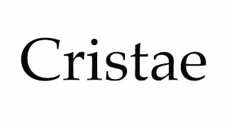 How to Pronounce Cristae [upl. by Bremble252]