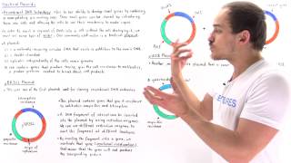 Plasmids and Recombinant DNA Technology [upl. by Lsiel]