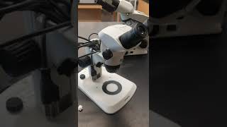 Dissecting microscope [upl. by Mercie]