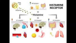 Managing histamine intolerance [upl. by Idoj78]