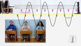 Longitudinal Standing Waves Demonstration [upl. by Nelie]