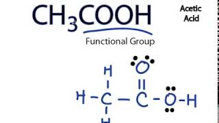 CH3COOH Lewis Structure Acetic acid [upl. by Elwyn]