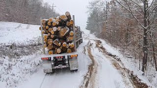 Truck in the ditch [upl. by Beatty55]