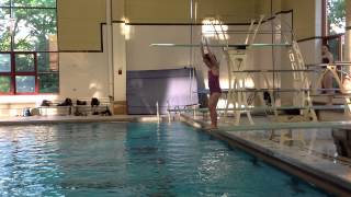 Teach a Flip for Springboard Diving [upl. by Maloy278]