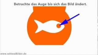 Optische Täuschung GOLDFISCH Nachbild [upl. by Animrelliug848]