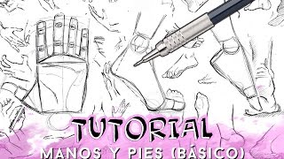 COMO DIBUJAR MANOS Y PIES NIVEL BÁSICO  Why So Gurin [upl. by Liamaj]