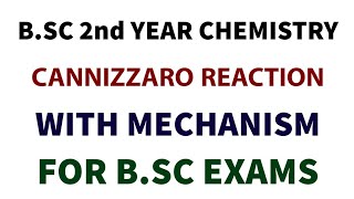 Cannizzaro Reaction With Mechanism  BSC 2nd Year Organic Chemistry  Aldehydes and Ketones [upl. by Gipson]