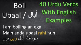 Basic Urdu Verbs with Examples  Urdu Grammar Lesson [upl. by Garwin]