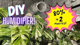 The DIY Humidifier your Plants will LOVE [upl. by Elwaine]