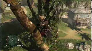 Assassins Creed 4  How to get Animus fragment in the tree  Kingston [upl. by Ahselak]