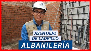 CÓMO ASENTAR LADRILLO CORRECTAMENTE  TIPS CONSTRUCTOR  ALBAÑILERIÁ [upl. by Duvall]