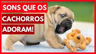 SONS que os cachorros ADORAM ouvir Assista com seu cão [upl. by Ainotahs]