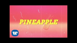 Ty Dolla ign  Pineapple feat Gucci Mane amp Quavo Lyric Video [upl. by Serica]