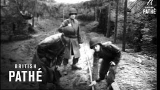 Women With Prisoners 1945 [upl. by Eimot68]