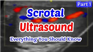 Scrotal Ultrasound Everything You Should Know part 1 [upl. by Inail]