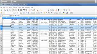 LibreOffice Base 03 Import Data from a Calc File [upl. by Teerprug]