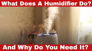 What Does a Humidifier Do Why Do You Need It [upl. by Yejus]