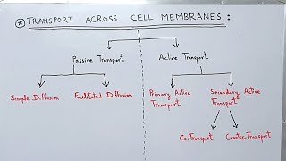 Transport across the Cell Membrane  Plasma Membrane  Active and Passive Transport [upl. by Eulalee432]