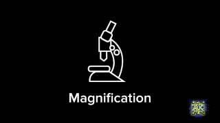 How to calculate magnification [upl. by Amhsirak]