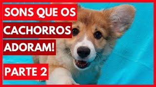 SONS que os cachorros ADORAM ouvir  Parte 2 Assista com seu cão dicasboaspracachorro [upl. by Eimaj589]