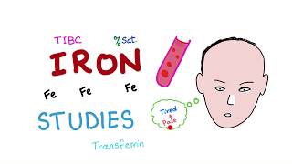 Iron Studies  Serum Fe TIBC ferritin amp Transferrin  Saturation [upl. by Lartnom]