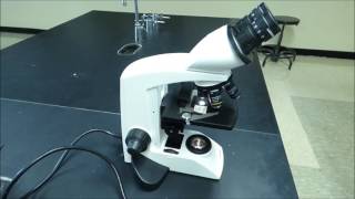 Compound Microscope Tutorial  Boston University Biology [upl. by Vesta294]