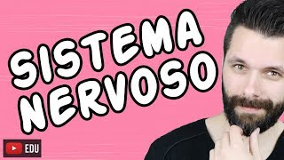 SISTEMA NERVOSO  FISIOLOGIA  Aula  Biologia com Samuel Cunha [upl. by Ulani]