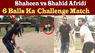 Shaheen vs Shahid Afridi 6 Balls Challenge Match [upl. by Niliram832]