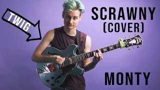 Scrawny Monty Cover  Wallows [upl. by Uaerraj49]