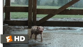 Charlottes Web 210 Movie CLIP  Wilbur Plays in the Mud 2006 HD [upl. by Arehsat]