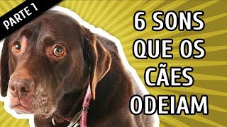 6 SONS QUE OS CACHORROS ODEIAM OUVIR  Parte 1 [upl. by Arline761]