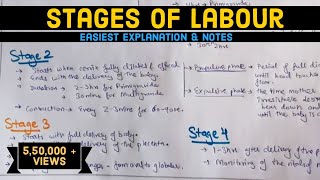 Stages of Labour  Labour  Easily explained  Hindi [upl. by Nialb425]