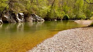 Tennessee CREEK Fishing for GIANT Smallmouth Bass [upl. by Petromilli]