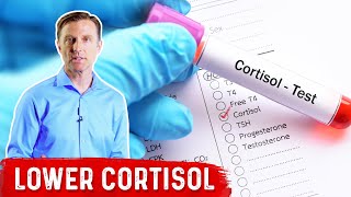 How To LOWER Cortisol Levels – Dr Berg [upl. by Slyke]