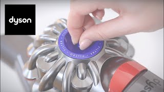 How to clean your Dyson V8™ cordless vacuums filters [upl. by Avevoneg]