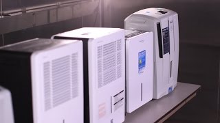 Dehumidifier Buying Guide Interactive Video  Consumer Reports [upl. by Ardni]