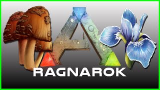 Ragnarok Origin  English Version MMORPG Gameplay AndroidIOS [upl. by Karlen]