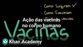 Ação das vacinas no corpo humano [upl. by Faxun]