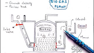 Methane production  Biogas plant  Working  Mechanism  Methanogens  Biogas production [upl. by Driscoll587]