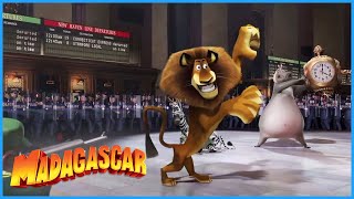 DreamWorks Madagascar  Its Me Alex From the Zoo  Madagascar Movie Clip [upl. by Tammi]