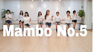 Mambo No5 Line Dance Beginner 윤 은희 [upl. by Armington]