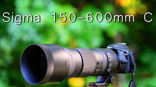 Sigma 150600mm C Review after 1 year [upl. by Jdavie]