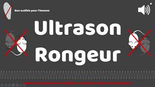 Puissant ultrason contre pour rongeur rats souris 1 HEURE [upl. by Carleton]