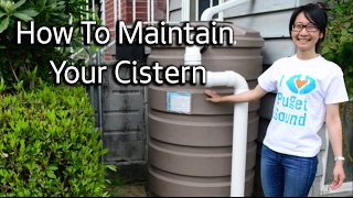 RainWise How to Maintain Your Cistern [upl. by Jarvis]