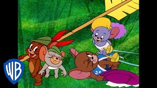 Tom et Jerry en Français  Souris mousquetaires  WB Kids [upl. by Neelyk129]